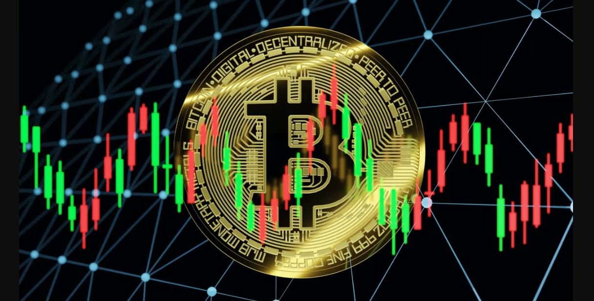 Crypto Halving, Bitcoin 2025, Harga Bitcoin, Ekosistem Kripto, Sentimen Komunitas