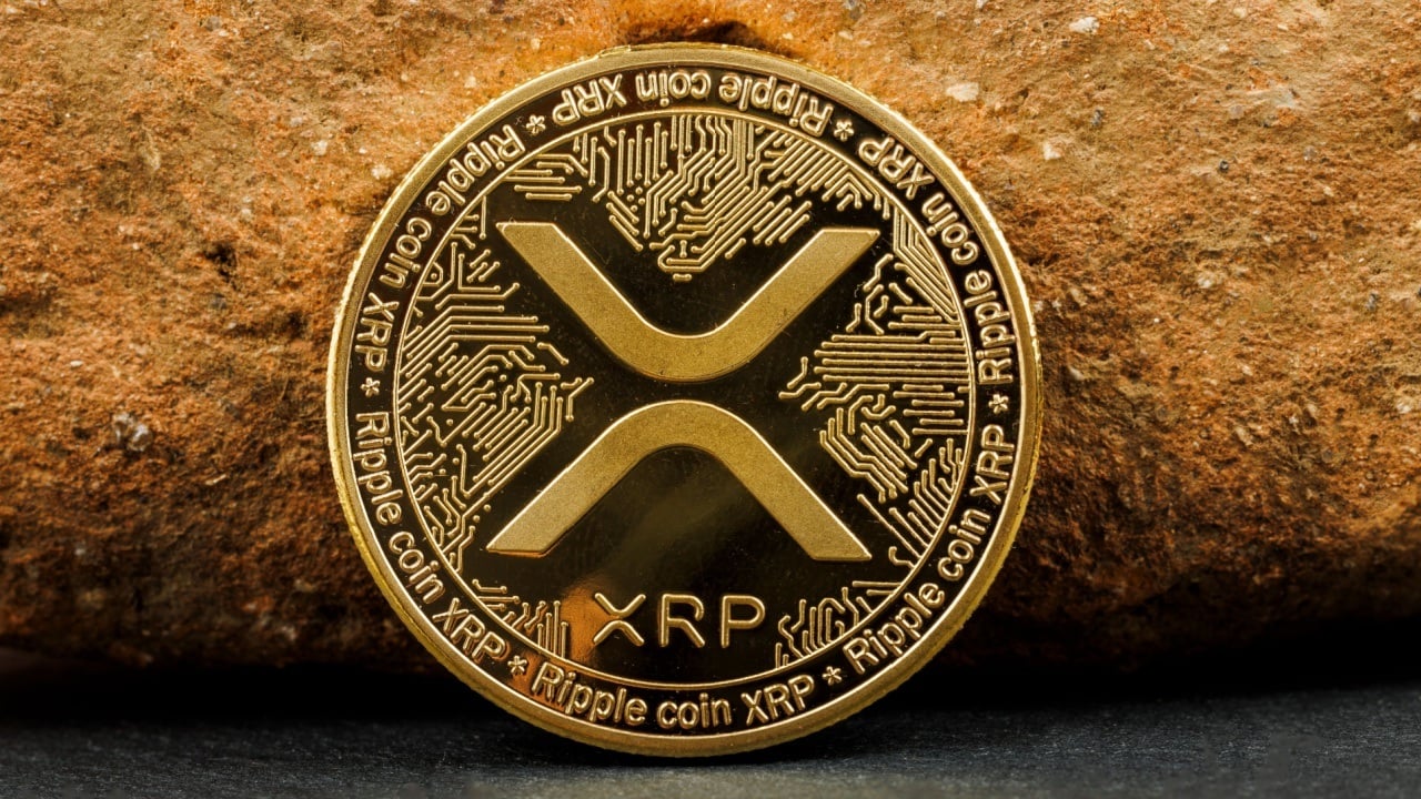 Berita Ripple Terbaru, ETF XRP, Volatility Shares, XRP Ledger, Kripto Institusional